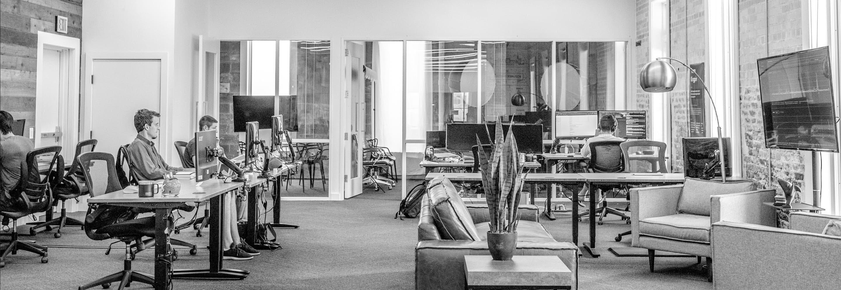 Weis Web Developers Story